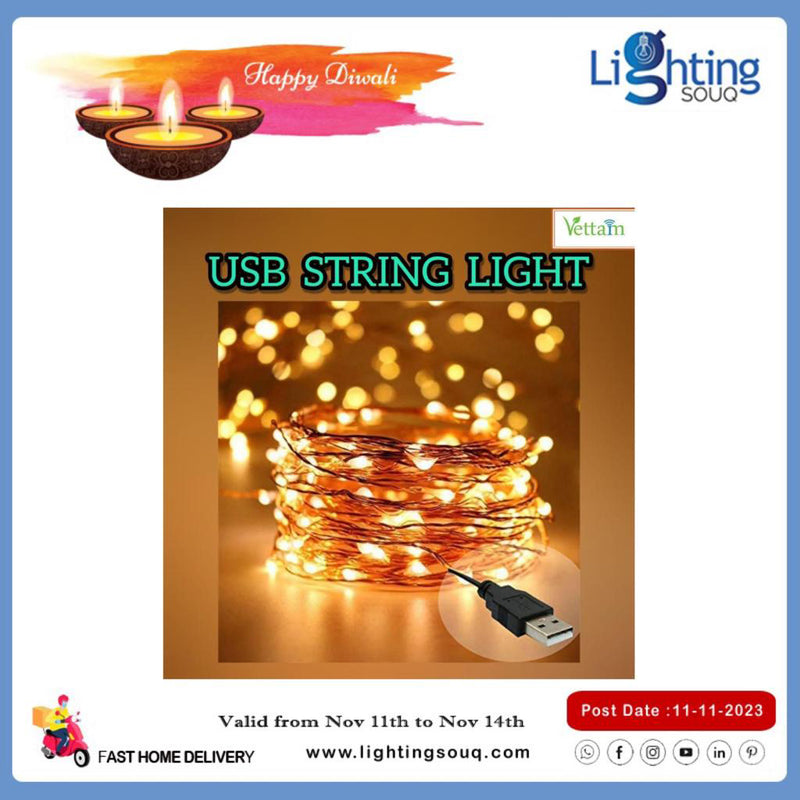 Vettam USB Fairy String Light, USB Decorative Fairy Lights for Indoor and Outdoor