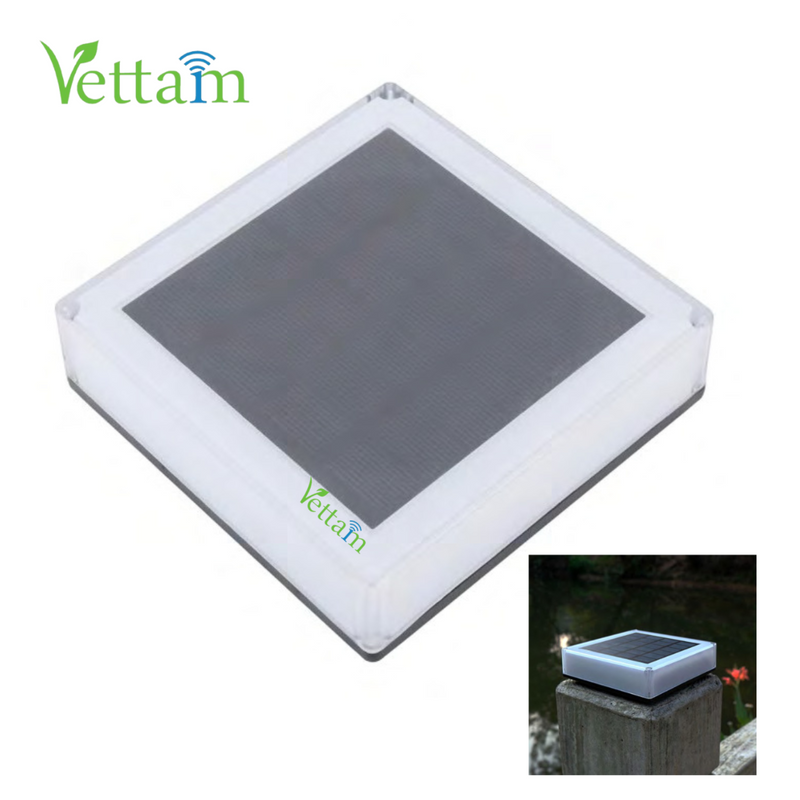 Vettam Solar Wall Top and Garden LED Square Light, RGB