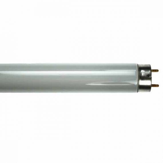GE T8 Fluorescent Tube 18W 2ft (600mm), 3500K white, G13