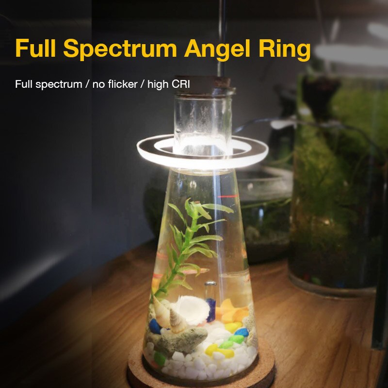 Glint Angle Plant Light Single Ring (Pink)