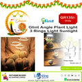 Glint Angel Plant Light 3 Ring (Sunlight)