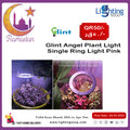 Glint Angel Plant Light Single Ring (Pink)