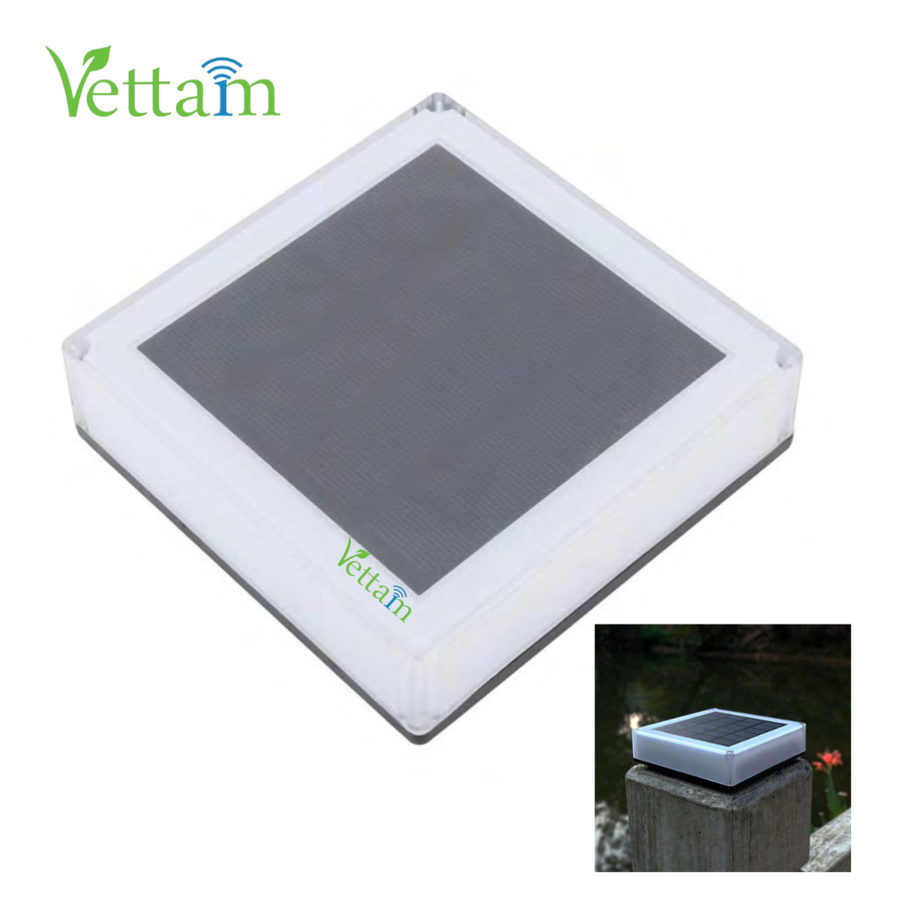 Vettam Solar Wall Top and Garden LED Square Light, RGB