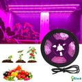 Glint Plant Grow Strip Light 2.5M, Waterproof Full-Spectrum Red:Blue 4:1 Growing Strip
