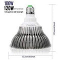 Glint LVJING 100W LED Grow Light