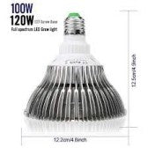 Glint LVJING 100W LED Grow Light