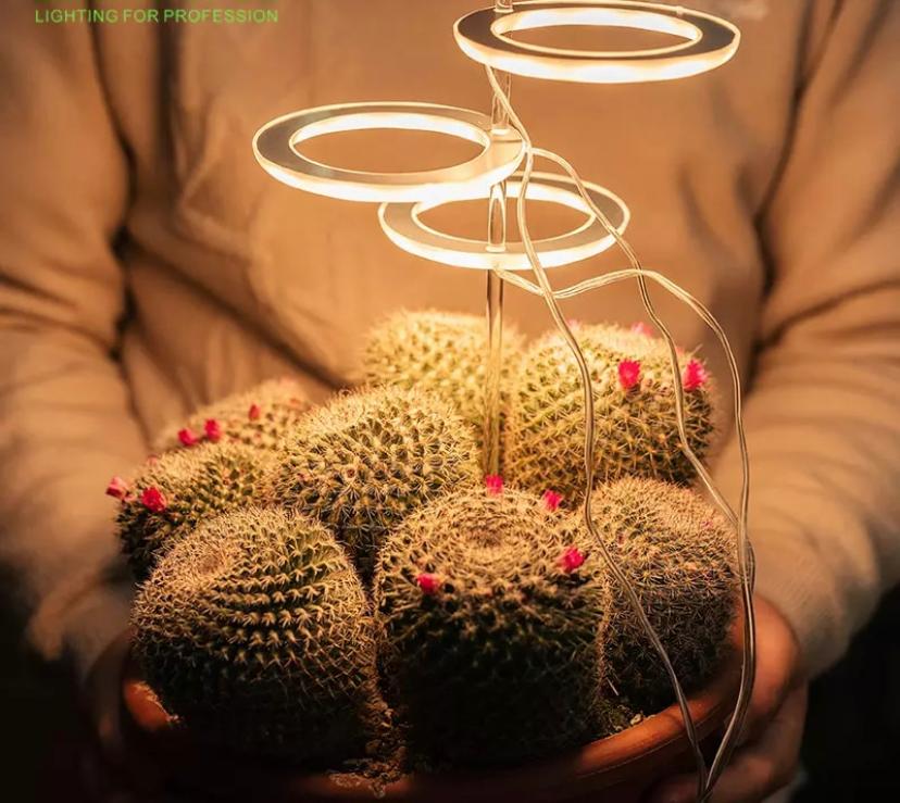 Glint Angel Plant Light 3 Ring (Sunlight)