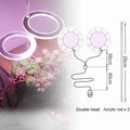 Glint Angel Plant Light 2 Ring (Pink)
