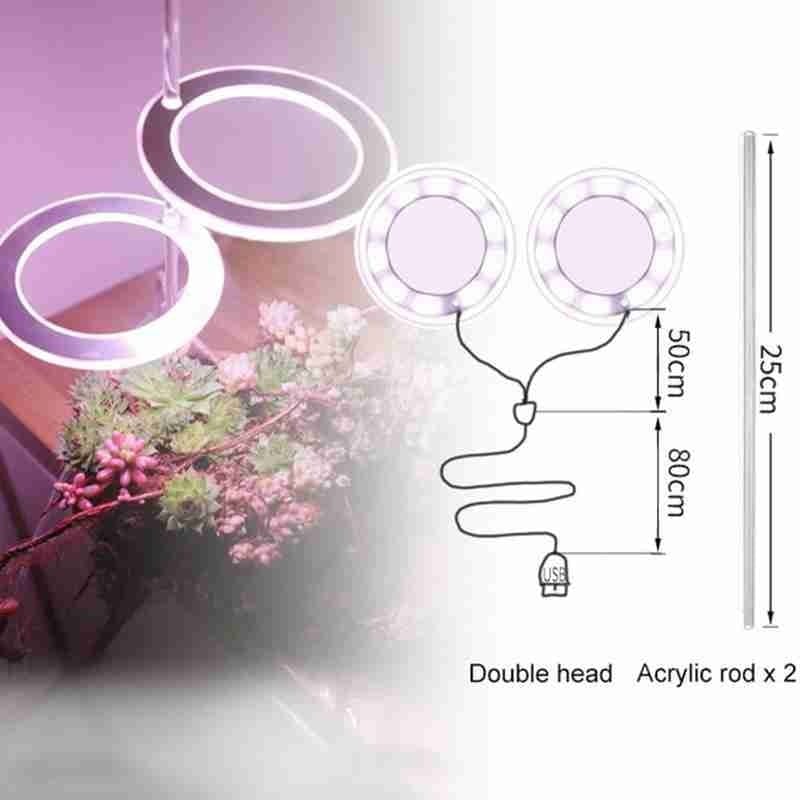 Glint Angel Plant Light 2 Ring (Pink)
