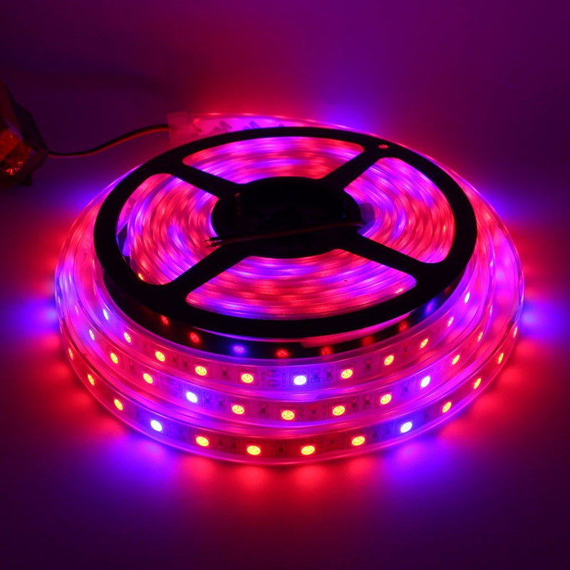 Glint LED Grow Strip Light 5 Meters, Full-Spectrum Plant Growing Strip