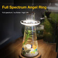 Glint Angle Plant Light Single Ring (Pink)
