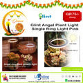 Glint Angel Plant Single Ring Light (Pink)