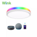 Wink 12 Inch Colourful LED Smart Ceiling Light 24W, RGB with Remote
