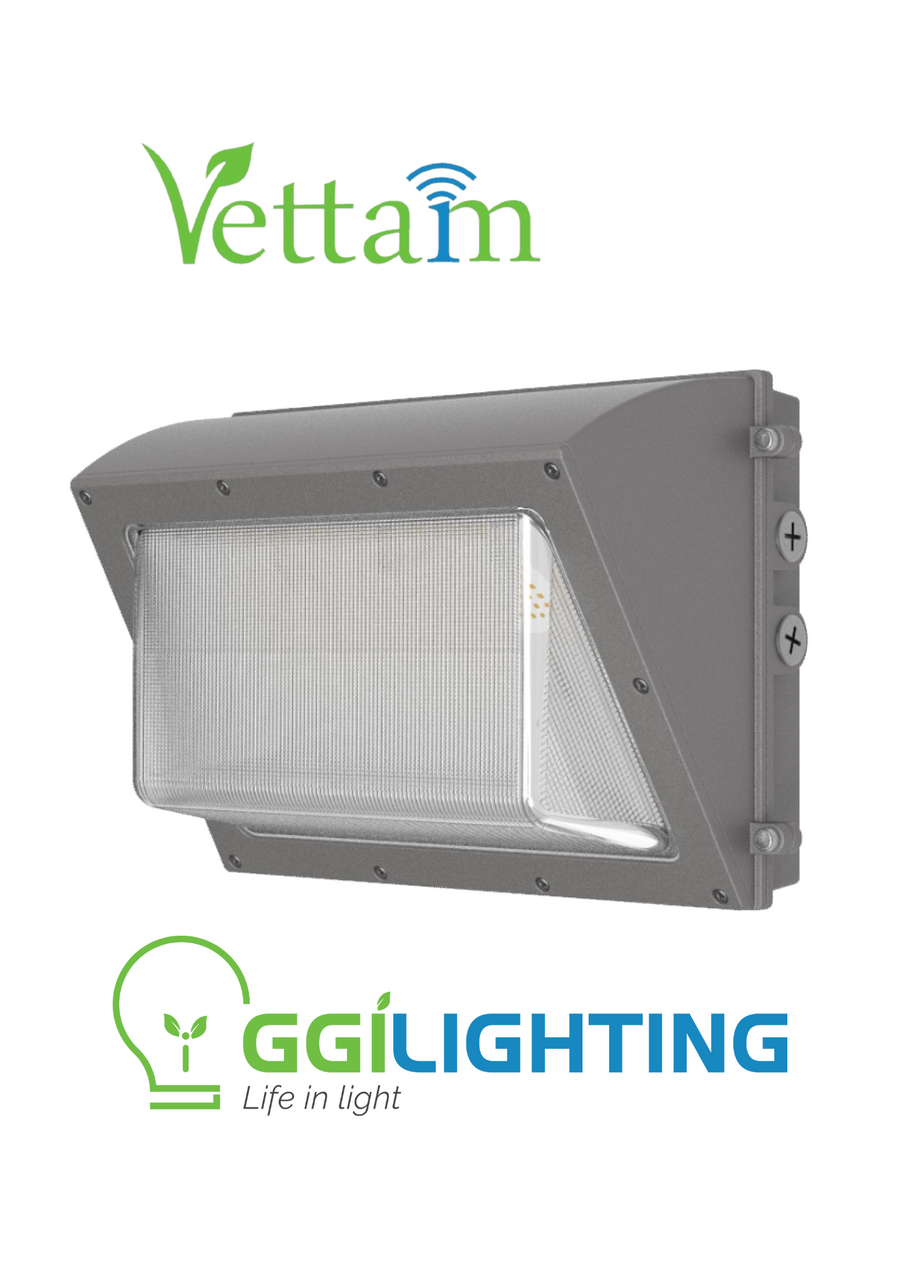Vettam LED Wall Pack Light, Outdoor Building and Security Lighting, Weather-Resistant