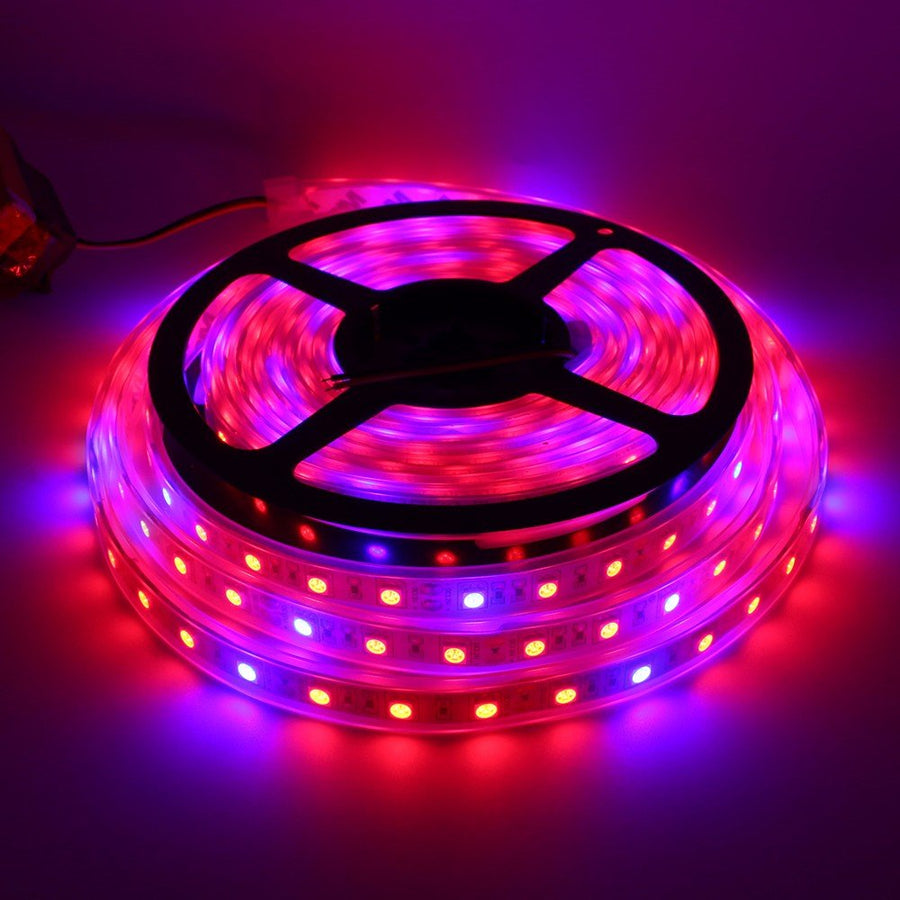 Glint LED Grow Strip Light 3 Meters, Full-Spectrum Plant Growing Strip