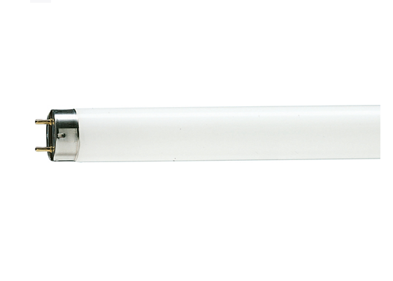 Philips TL-D 36W 765 T8 Fluorescent Tube, 6500K Cool Daylight, 4ft, G13