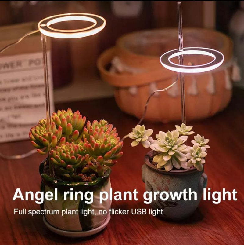 Angel Ring Plant Growth Light
